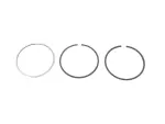 68228760AA - : Ring Kit for Mopar Image