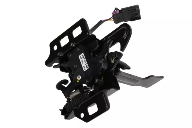 Hood Latch with Hood Ajar Indicator Switch - GM (20763454)