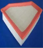 22015017 - Air and Fuel Delivery: Air Filter for Ford: Focus Image