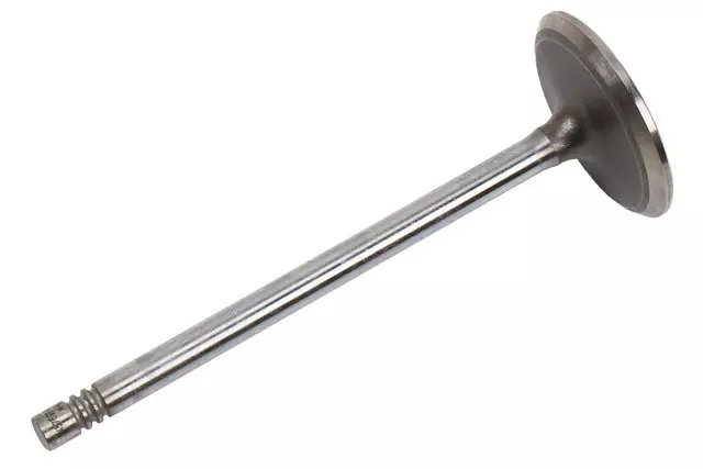 Engine Intake Valve - GM (24576974)