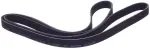117201CA1B - : Serpentine Belt for Infiniti Image