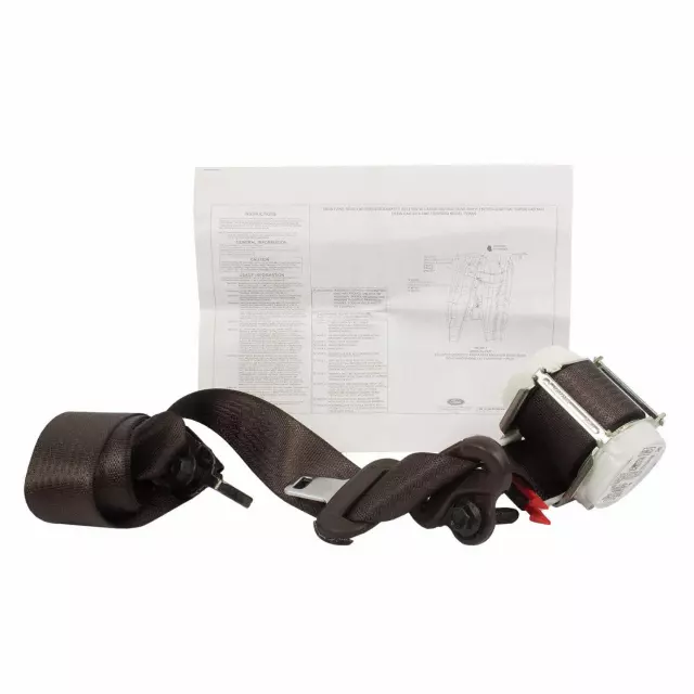 JL3Z16611B68AB - : Outer Belt for Ford: F-150 Image