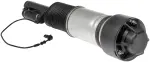 949860 - : Air Suspension Strut for Dorman Image