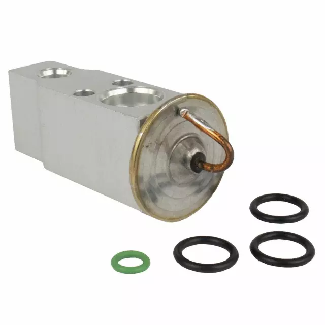 Valve Assembly Evaporator Expansion - Ford (QYG-82)