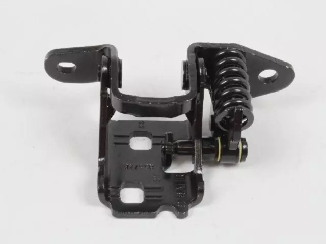 Rear Door Lower Hinge, Right - Mopar (55360918AK)