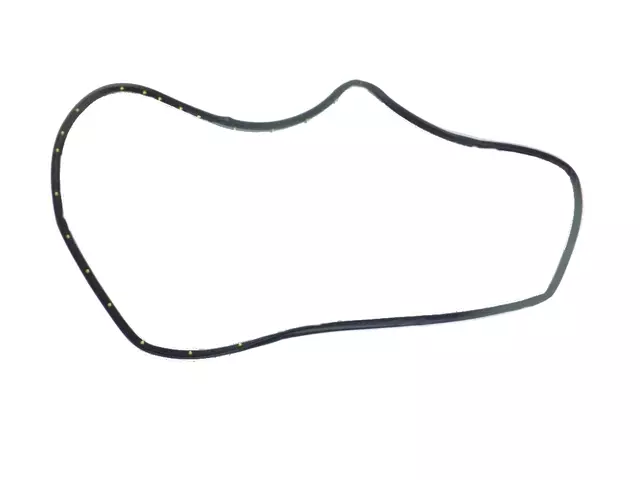 Front Door Opening Weatherstrip, Right - Mopar (68486164AA)
