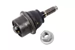19210782 - Suspension: Front Lower Control Arm Ball Joint for Chevrolet: Express 2500, Express 3500 | GMC: Savana 2500, Savana 3500 Image