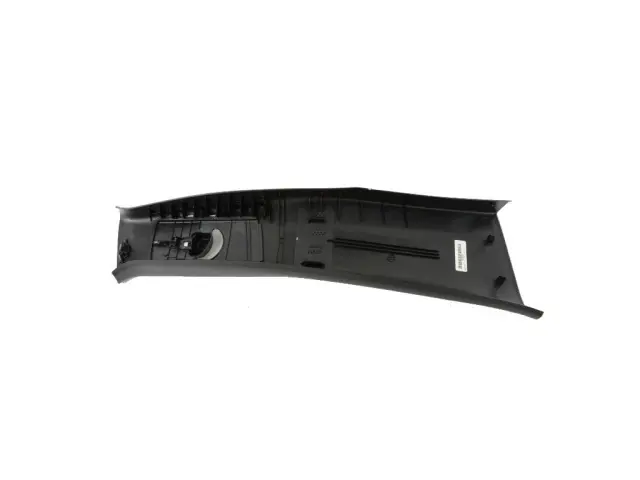 B Pillar Molding, Left - Mopar (6FF59DX9AA)