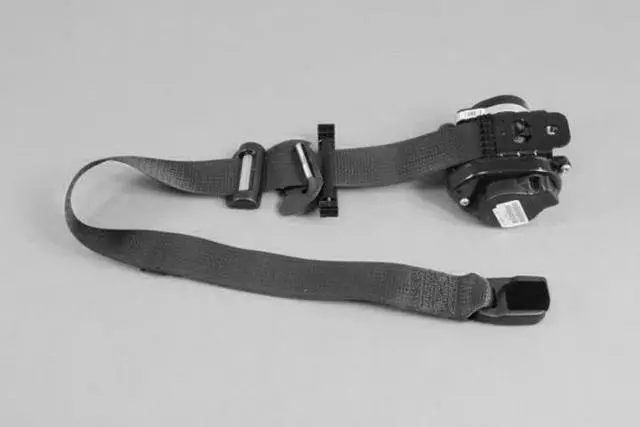 1SV73DX9AE - : BELT for Mopar Image