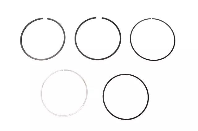 F (S)Ring Kit - GM (12720003)