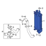 CV6Z6K775C - : Inter-Cooler for Ford: Focus Image