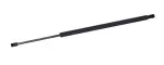 610588 - : Liftgate Lift Support for Tuff Support Image