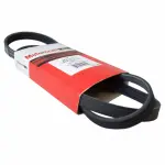 JK4519 - : Motorcraft™ Serpentine Belt for Ford: EcoSport, Focus Image