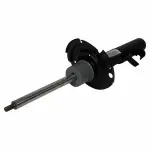 AST24657 - : Motorcraft™ Suspension Strut for Ford: Escape Image