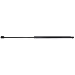 6144 - : Hood Lift Support for STRONG ARM Image