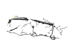 68401186AC - : Body Right Wiring for Mopar Image