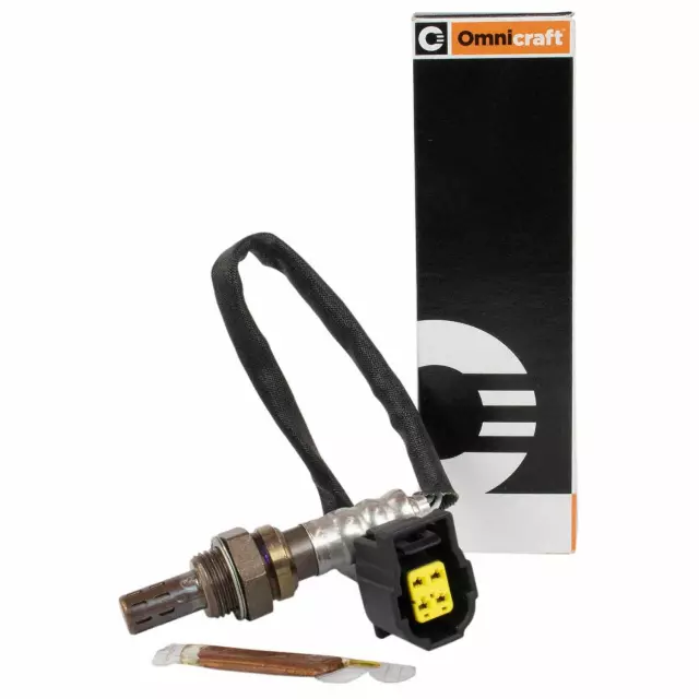 Sensor Hego - Ford (QDY6)