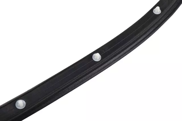 98484919 - : F Weatherstrip for GM Image
