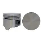 P3010650 - : Engine Piston Set for Enginetech Image