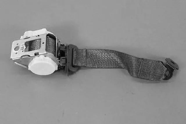 2nd Row Seat Belt And Retractor, Center - Mopar (1SV68LA8AC)