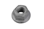 42366090 - : F (S)Nut for GM Image