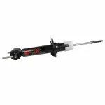 ASH85966 - Suspension: Motorcraftâ„¢ Suspension Strut for Ford Image