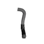 72615 - : CURVED RADIATOR HOSE, DAYCO for DAYCO HYDRAULIC Image