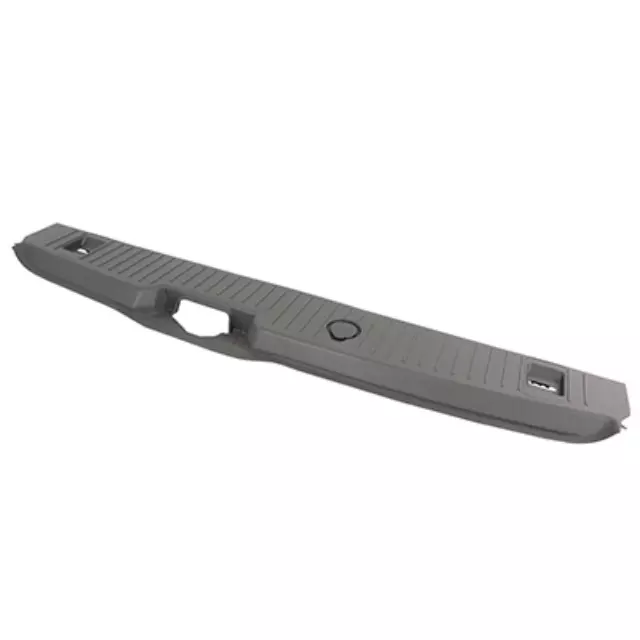 Rear Sill Plate - Ford (DT1Z-6140374-AF)