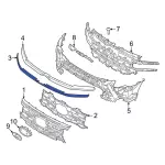NL1Z8200BAPTM - Body: Lower Molding for Ford Image