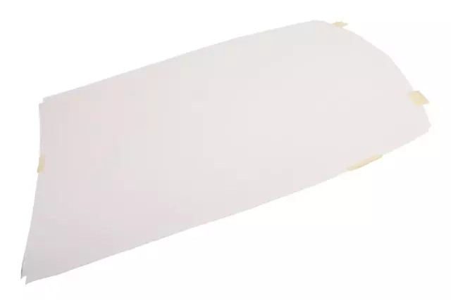 Black Hood LT4 Stinger Decal - GM (84037049)