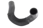 42818136 - Belts and Cooling: Radiator Outlet Hose for ACDelco Image