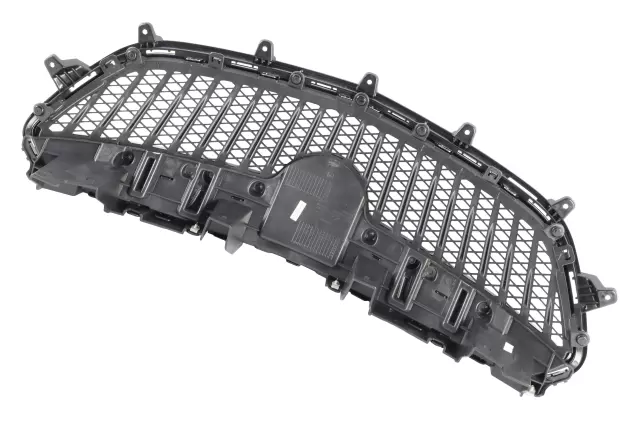 42698090 - Body: Grille Assembly for Buick: Encore Image