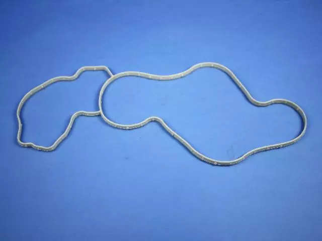 Water Pump Gasket - Mopar (68394131AA)