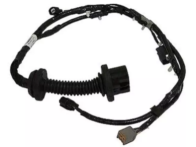 Wire Assembly Jumper - Ford (HG9Z-14630-AD)