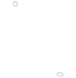 219976645 - : Profile Sealing Ring for Mercedes-Benz: C250, E250, E350, GL350, GLE300d, GLK250, GLS350d, ML250, ML350, S350, SLK250, Sprinter 2500, Sprinter 3500, Sprinter 3500XD Image