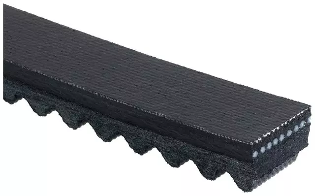 Belt - GM (88933333)