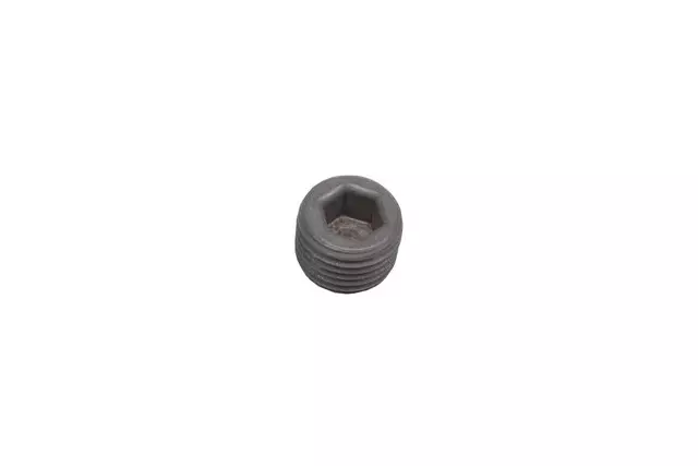 11047651 - : Multi-Purpose Threaded Plug for GM Image