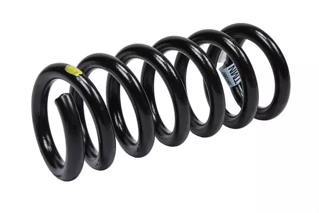 10412897 - Suspension: Spring for GM Image