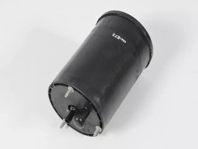 Vapor Canister - Mopar (4601673)