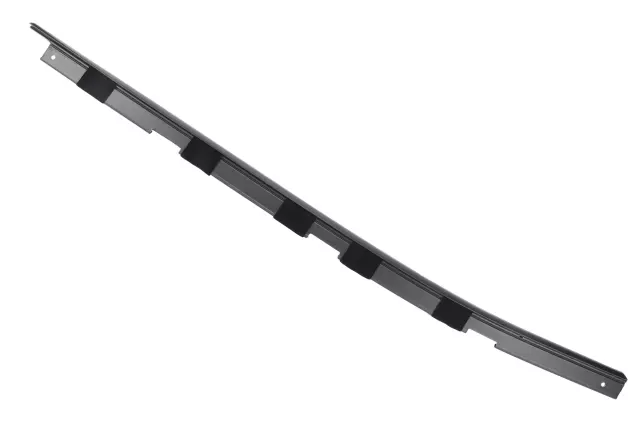 Molding Asm-Frt S/D Wdo Belt  Rvl - GM (23233807)
