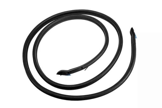 15126640 - Body: Weatherstrip for Chevrolet: Express 1500, Express 2500, Express 3500 | GMC: Savana 1500, Savana 2500, Savana 3500 Image