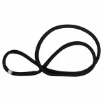 JL1Z78404A06B - Body: Surround Weather-strip for Ford: Expedition | Lincoln: Navigator Image