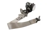 19333433 - Body: Seat Belt Lap And Shoulder Belt for GM Image