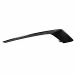 HS7Z15266CPTM - Body: Trim Molding for Ford: Fusion Image