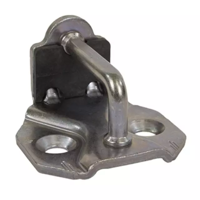 Door Lock Striker Plate - Ford (GN1Z-9943252-A)