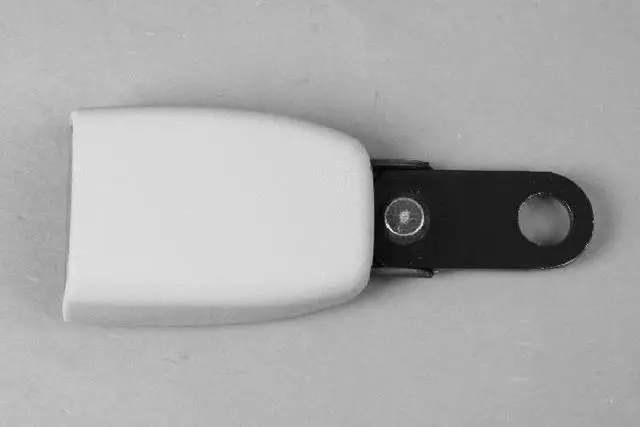 TS941J3AA - Restraints: Rear Inner Seat Belt for Mopar Image