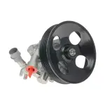 49110EZ30B - : Power Steering Pump for Nissan Image