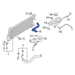 ML3Z8260L - Cooling System: Upper Hose for Ford: F-150 Image