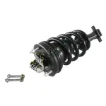 810043 - : Chevrolet, GMC (RWD) Suspension Strut and Coil Spring Assembly  - Front for GSP Image