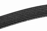 19244944 - Belts and Cooling: Serpentine Belt for Chevrolet: Blazer, C1500, C2500, C3500, K1500 Pickup, K2500 Pickup, K3500 Pickup, S10, S10 Blazer, Suburban C1500, Suburban C2500, Suburban K1500, Suburban K2500, Suburban R1500, Suburban R2500, Suburban V1500, Suburban V2500, Tahoe | GMC: C1500 Pickup, C2500 Pickup, C3500 Pickup, Jimmy, Jimmy S15, K1500 Pickup, K2500 Pickup, K3500 Pickup, S15, Sonoma, Suburban C1500, Suburban C2500, Suburban K1500, Suburban K2500, Suburban R1500, Suburban R2500, Syclone, Typhoon, V1500 Suburban, V2500 Suburban, Yukon | Oldsmobile: Bravada Image